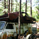 Illustration for article titled Massive Secret Mustang Junkyard Found In Rhode Island Forest